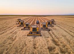 Buğdayda ithalat yasağı 15 Ekim'den önce kaldırılmayacak