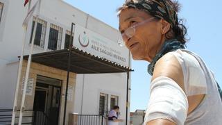 Asabi kedi hem misafire hem de sahibini hastanelik etti! İçine canavar kaçmış, kaplan gibi, vampir gibi atladı