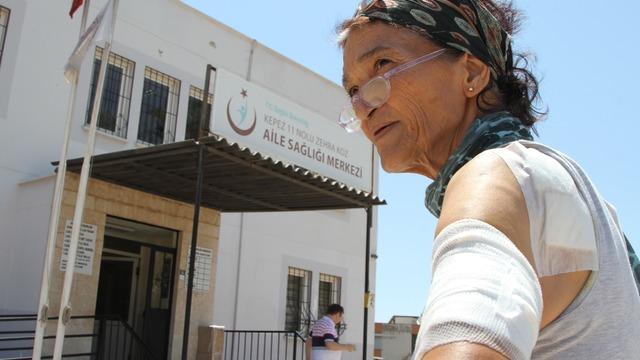 Asabi kedi hem misafire hem de sahibini hastanelik etti! İçine canavar kaçmış, kaplan gibi, vampir gibi atladı