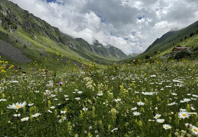 Ekran görüntüsü 2024-07-12 160333