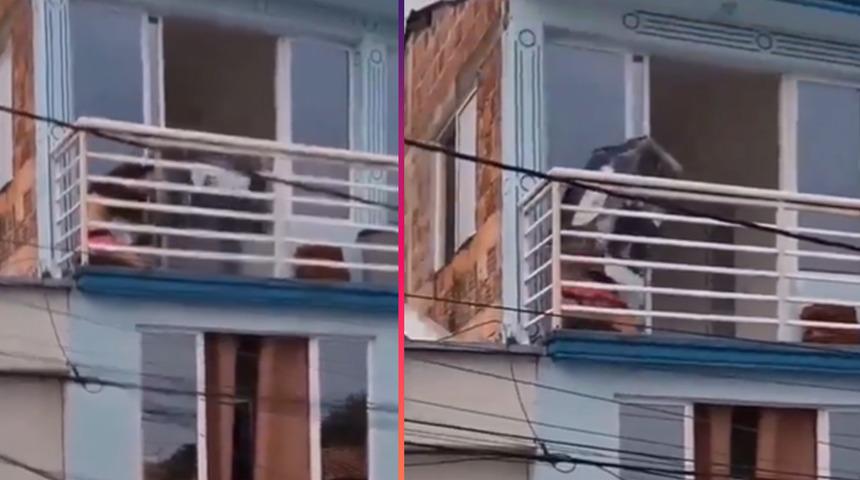 Sevgilisinin eşi tarafından basılan kadının bulduğu saklanma yöntemi görenleri şaşkına çevirdi! Balkondaki kutunun altına girdi