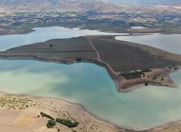 Anadolu'nun en büyük adasını satın aldı! Tam 10 bin tane o ağaçtan dikti... Hekres Şanlıurfalı genç üreticiyi konuşuyor