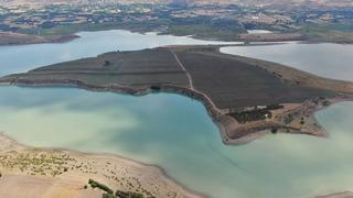 Anadolu'nun en büyük adasını satın aldı! Tam 10 bin tane o ağaçtan dikti... Hekres Şanlıurfalı genç üreticiyi konuşuyor
