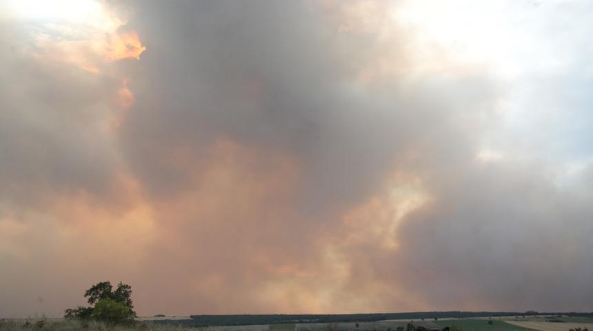 Bulgaristan'daki yangın Edirne sınırına ilerliyor! Köy halkı ve itfaiye teyakkuza geçti