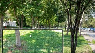 KPSS'den çıktı, parkta dinlenirken başından vuruldu!