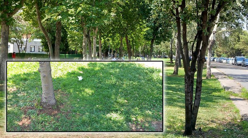 KPSS'den çıktı, parkta dinlenirken başından vuruldu!