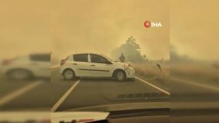 Silivri'de yangın paniği: Yangından kaçayım derken canlarından oluyorlardı! Dumandan göz gözü görmedi