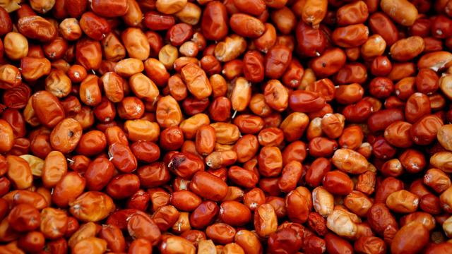 İğde tozunun faydaları nelerdir? İğde tozu neye iyi gelir?