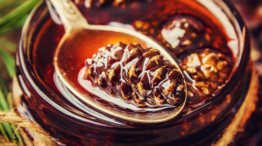 Kozalak pekmezi faydaları nelerdir? Kozalak pekmezi neye iyi gelir?