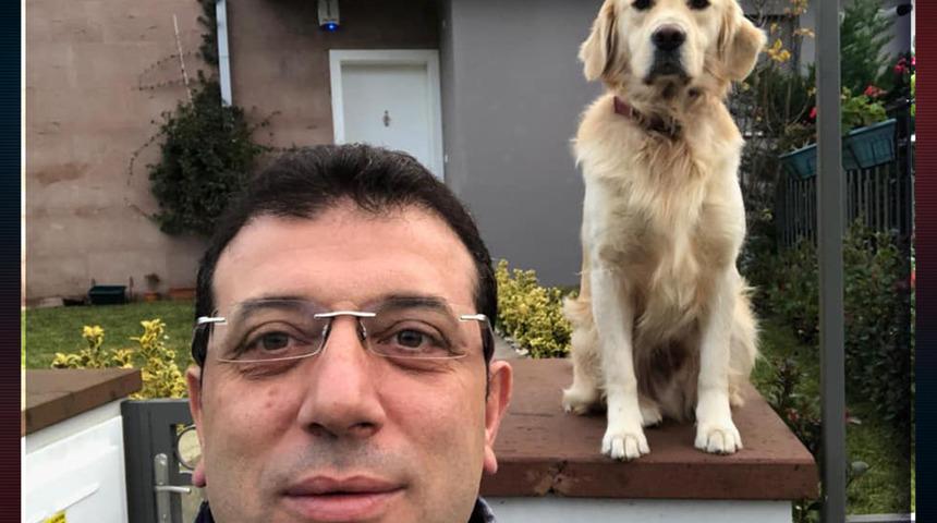 İmamoğlu madde madde sıraladı, çözüm önerisini de paylaştı: Sokak hayvanları düzenlemesi uygulanamaz!
