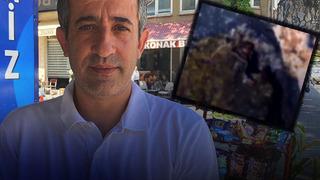 Fethiye’de görenler gözlerine inanamadı! İlginç başlı ve kulakları dışarıda…