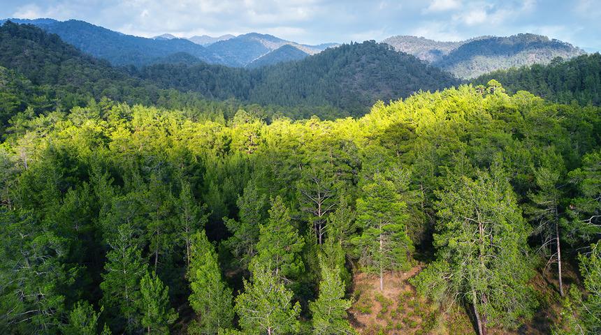Cumhurbaşkanı Erdoğan imzaladı: 8 ilde bazı alanlar orman sınırı dışına çıkarıldı