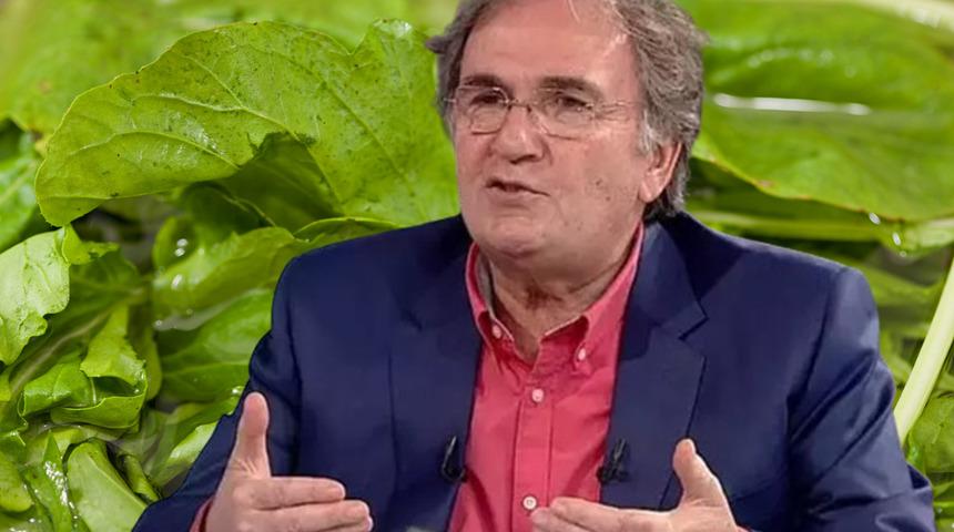 Prof. Dr. İbrahim Saraçoğlu'ndan doğal şifa reçetesi: Öksürüğü kökten bitiriyor, balgamı söküp atıyor!