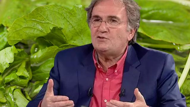 Prof. Dr. İbrahim Saraçoğlu'ndan doğal şifa reçetesi: Öksürüğü kökten bitiriyor, balgamı söküp atıyor!