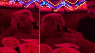 Pavyonda köpeği için masa kurdurttu! O anlar sosyal medyada gündem yarattı... Köpek bizden mutlu