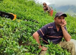 Kota düşürülmüştü! ÇAYKUR'dan izdiham önlemi:  Alımlarına 1 günlük ara verildi