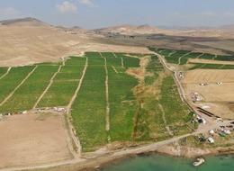 'Gelin 8 TL'ye alın' Duyar duymaz akın ettiler! Yurt dışından bile talep var 'Pahalı alacaklarına...'