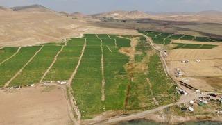 'Gelin 8 TL'ye alın' Duyar duymaz akın ettiler! Yurt dışından bile talep var 'Pahalı alacaklarına...'