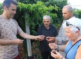 'Çok değerli! Yiyen tekrar yemek ister' Üretmeye başladı, ciddi kazanç elde etti! Yoğun talep var