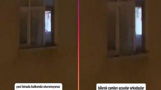 Perdeleri açık bir şekilde +18 film izleyen komşularını cep telefonuyla kaydedip sitem etti! Bilerek camları açıyorlar