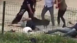 Ağızlıksız gezen yasaklı ırk köpek sokakta adama saldırdı! Olaya polis müdahale etti... Polise vurma diyerek feryat etti