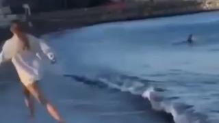 Plajın kıyısında korku dolu anlar! 2 metrelik köpek balığını görünce çığlık çığlığa kaçtılar... Güvenlik için hemen kapatıldı