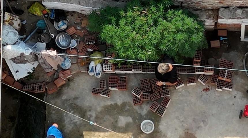 Evinde yakalandı, savunması pes dedirtti: 'Su döktüm büyüdüler'