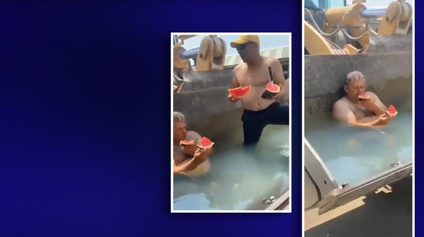 Sıcaktan bunalınca böyle çözüm buldular! O anları ölümsüzleştirdiler