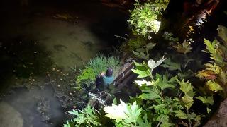 Sakarya'da dereye düşerek yaralanan kişi hastaneye kaldırıldı