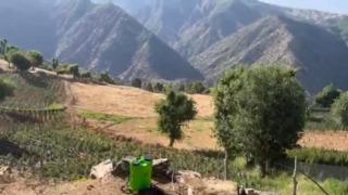 16 ilde düğmeye basıldı: Narkoçelik-28'de 40 tutuklama