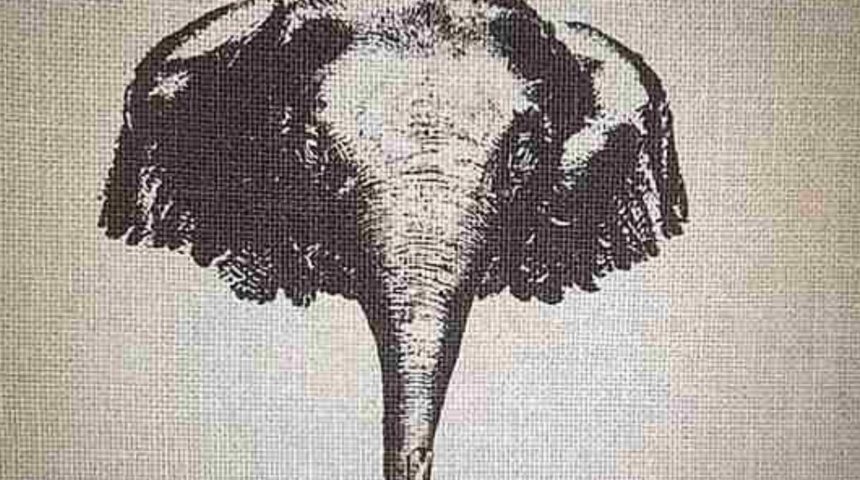 Kafa karıştıran optik ill&uuml;zyon testi: Filin i&ccedil;indeki gizli hayvanı bulan &ccedil;ok az! 10 saniyeniz var...