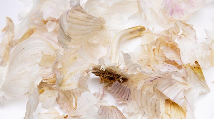 Sakın çöpe atmayın: Meğer faydası kabuğundaymış! Bağışıklık sistemini zırh gibi güçlendiriyor, toksinleri vücuttan söküp atıyor