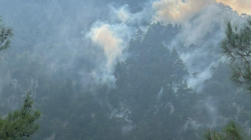 Adana'daki orman yangını kontrol altına alındı