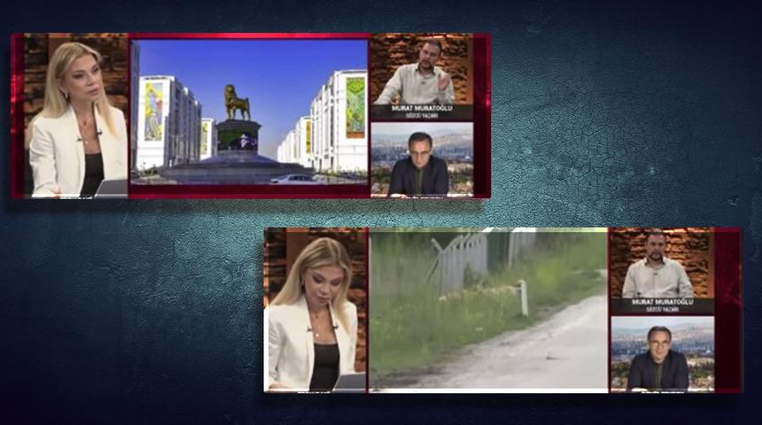 Sokak hayvanlarıyla ilgili tepki çeken öneri! Programdaki konuklar bile kendini tutamadı: Çin'e gönderelim, hem öldürmüş olurlar hem ihracat yapmış oluruz