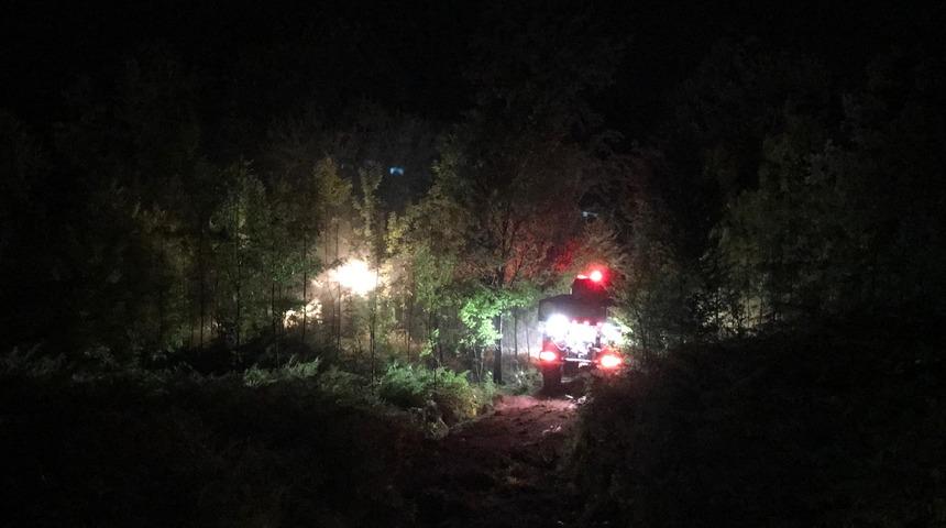 Sakarya'da ormanlık alanda çıkan yangın söndürüldü