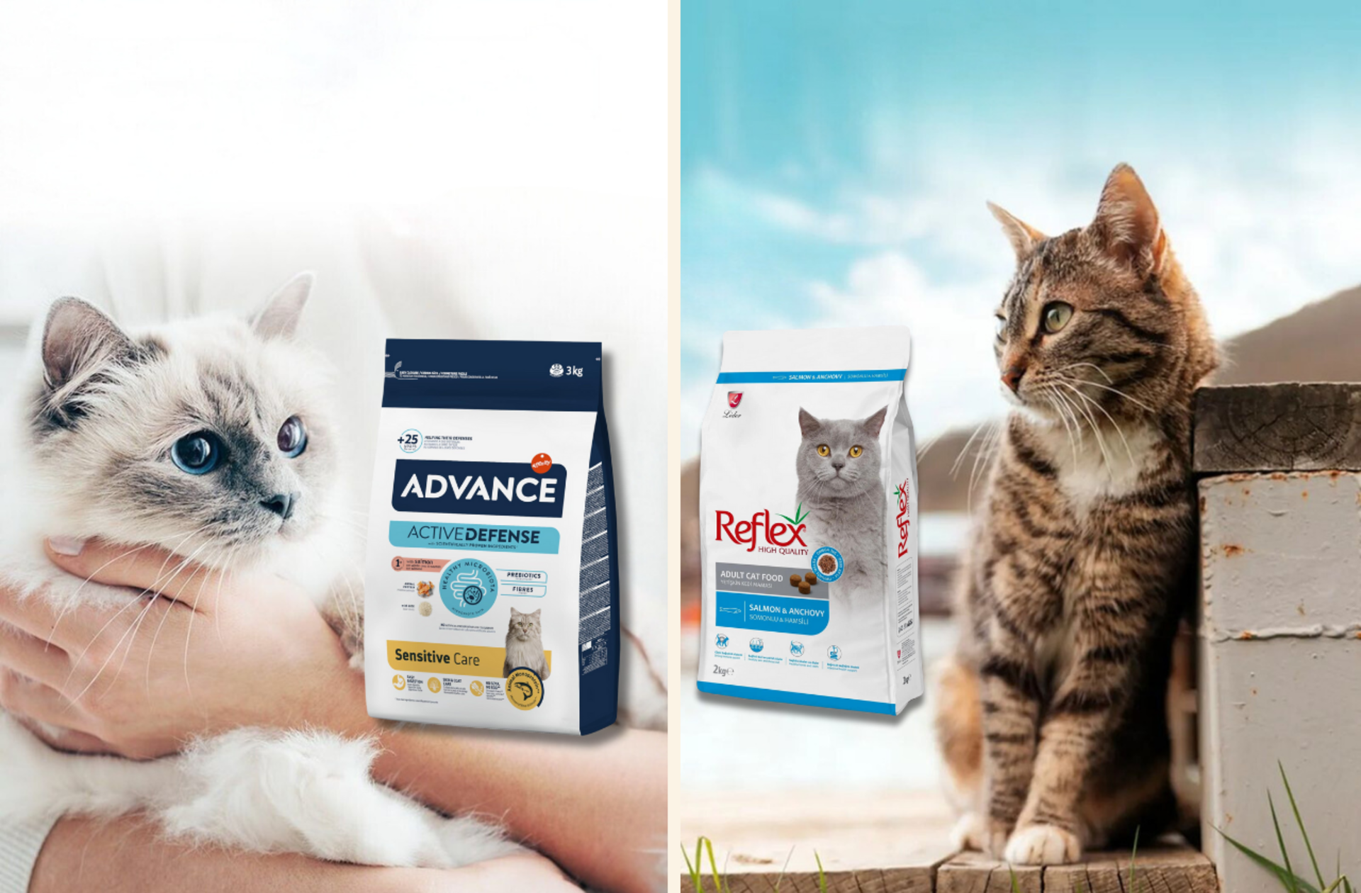 Patili dostlarınız için içinizi rahat tutacak en iyi kedi maması önerileri