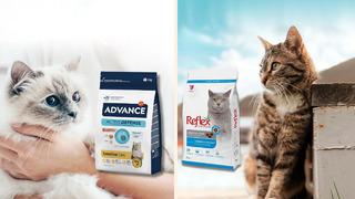Patili dostlarınız için içinizi rahat tutacak en iyi kedi maması önerileri
