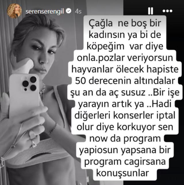 Seren Serengil önce sokak hayvanları yasasına karşı çıktı sonra da Çağla Şıkel'i hedef aldı! 'Ne boş bir kadınsın' 640xauto