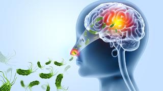 Beyin yiyen amip paniği! Bir kişi hayatını kaybetti, 100'ü aşkın kişi hastaneye akın etti