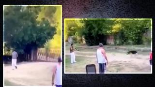 Sosyal medyayı ayağa kaldırdı! Almanya'dan gelen gurbetçi, kedisine saldırdığını iddia ettiği köpeği tüfekle vurdu... Kan donduran görüntüler