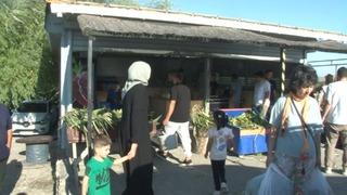 Bu tarlada satış tekniği farklı! İstanbullular hafta sonları akın ediyor, ünü kulaktan kulağa yayılıyor: Organik ürünlere talep patlaması