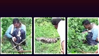 Tuvaletini yapan adamın boynuna 5 metrelik ölümcül piton çullandı: Kurtarmak için vura vura öldürdüler