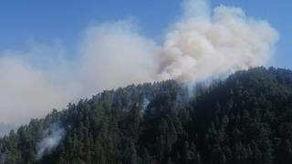 Kahramanmaraş'ta orman yangını büyüyor!