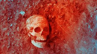 Yol ortasında insan kafatası bulundu