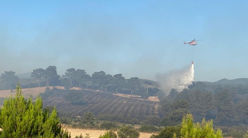 Çanakkale'nin Ayvacık ilçesinde çıkan orman yangını kontrol altına alındı
