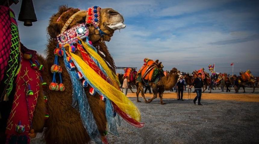 Güzellik yarışmasında botoks skandalı! 12 deve diskalifiye edildi