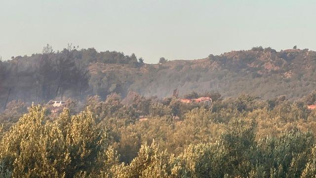 Manisa'nın Kırkağaç ilçesinde çıkan orman yangınına müdahale ediliyor