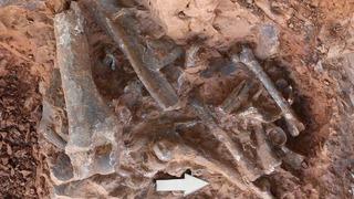 'Dünyadaki ilk örnek olacak' O ilde ezber bozan keşif! Tarihi değiştirdi