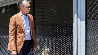 CHP'li Erdal Beşikçioğlu'ndan 'sokak hayvanları' projesi! 'Hayvanlar görevlendirilecek'