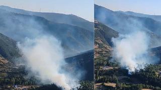 Balıkesir'de orman yangını! Ekipler müdahale ediyor
